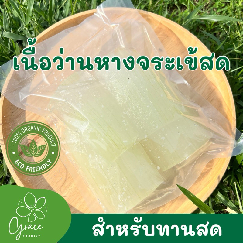 เนื้อว่านหางจระเข้อินทรีย์สด ว่านหางจระเข้ปลอดสาร Fresh Aloe Vera Jelly