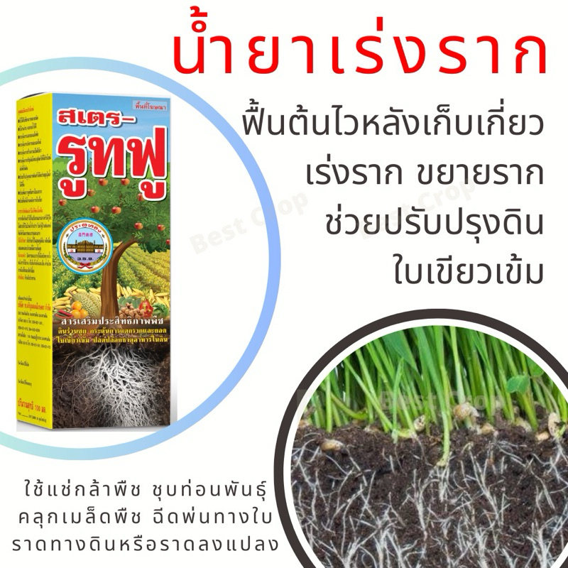 ยาเร่งราก รูทฟู ขนาด 100 cc บำรุงราก รากเดินดี น้ำยาเร่งราก เร่งเขียว ฟื้นต้นโทรม