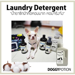 Doggy Potion Laundry Detergent 500ml น้ำยาซักผ้าสัตว์เลี้ยง 500มล