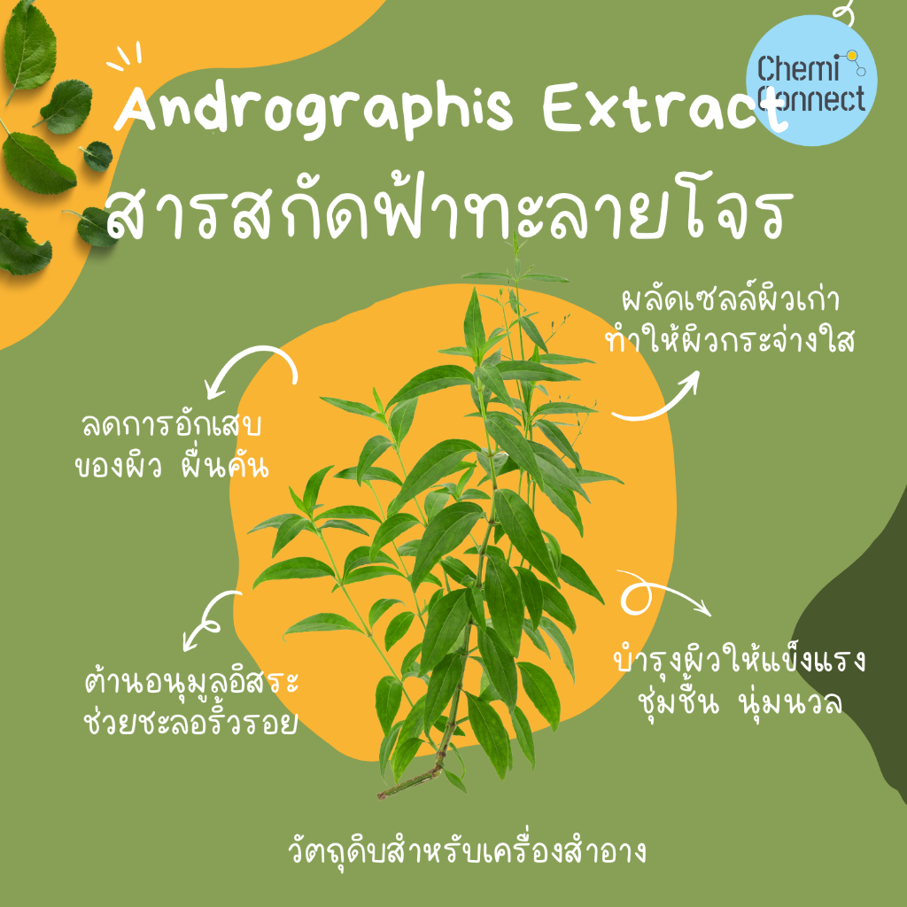 สารสกัดฟ้าทะลายโจร Andrographis Extract ( Andrographis Paniculata Leaf ) ชนิดน้ำ สำหรับผสมเครื่องสำอาง ขนาด 50-100 มล.