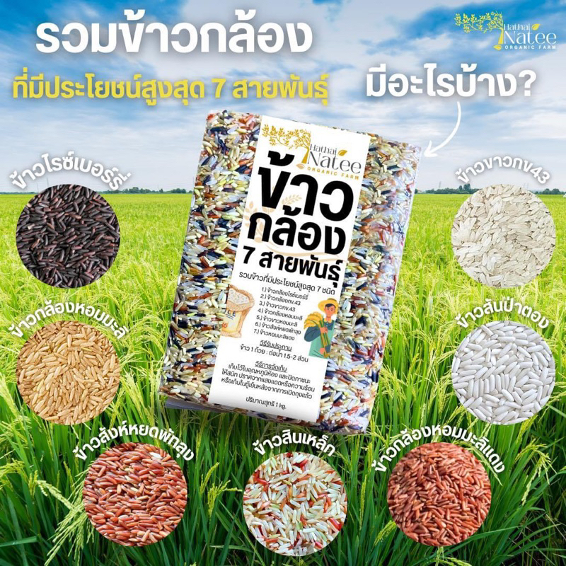 🌾ข้าวกล้อง 7 สายพันธุ์ 1 kg.ข้าวออร์แกนิค 🍙ปลอดสาร คัดเม็ดเกรดพรีเมียม ( 7 Rice Mixed )🌾