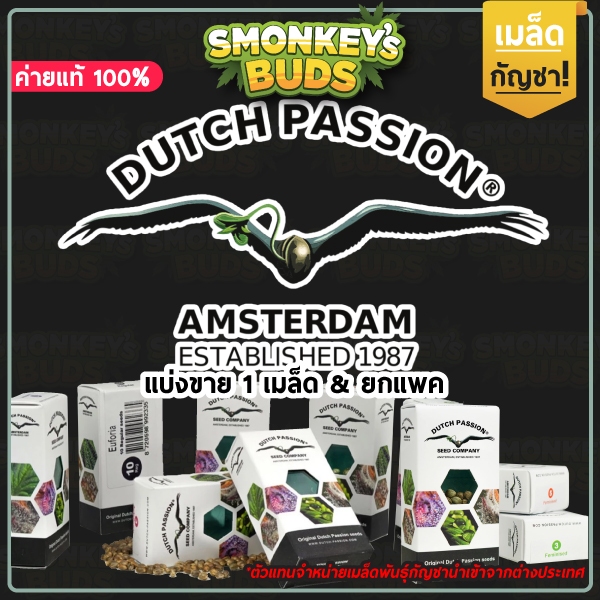 ค่าย Dutch Passion ค่ายแท้💯 จากตัวแทนเมล็ดพันธุ์กัญชานอก