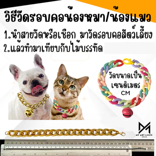 สร้อยคอสุนัข แมว ปลอกคอสัตว์เลี้ยง PVC โซ่เท่ๆ น้ำหนักเบา ไม่หนัก