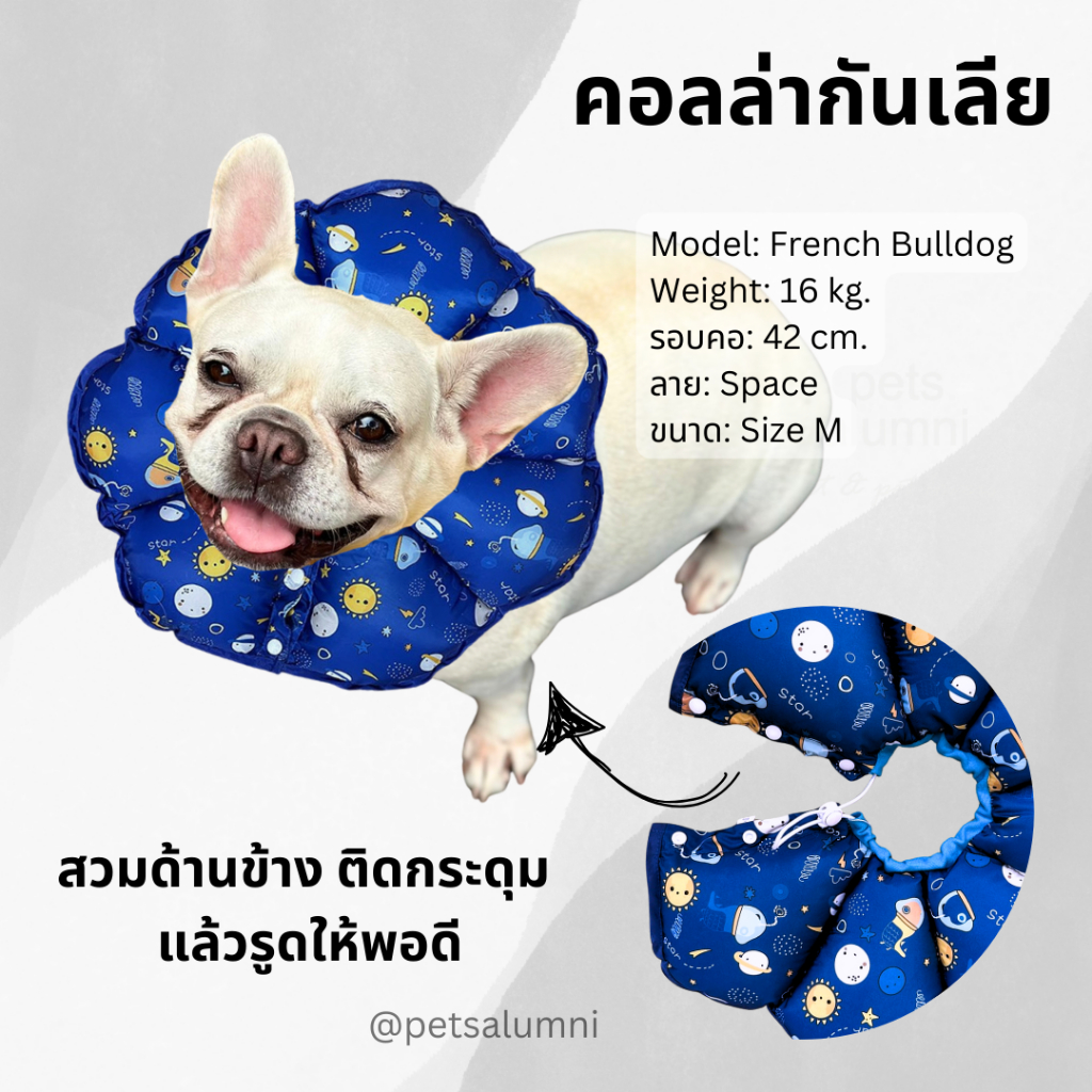 PetsAlumni Sunflower Collar ปลอกคอกันเลีย คอลล่าสุนัขแบบนิ่ม คอลล่าแมว ลำโพงกันเลีย ปลอกคอกันเลียแมว