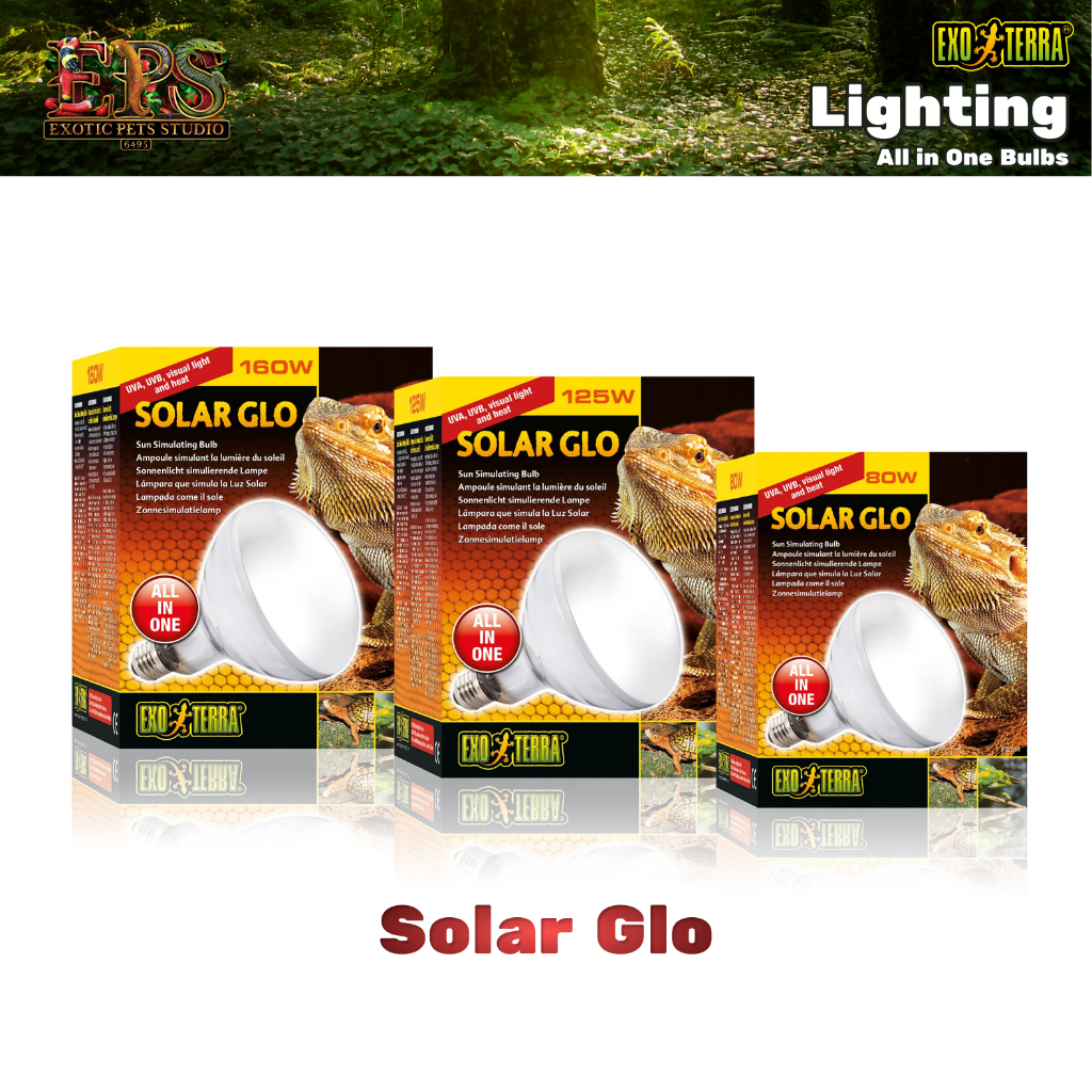 Exo Terra Solar Glo หลอดไฟรวม ยูวีเอ ยูวีบี แสง และความร้อน (80W / 125W / 160W)