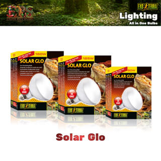 Exo Terra Solar Glo หลอดไฟรวม ยูวีเอ ยูวีบี แสง และความร้อน …