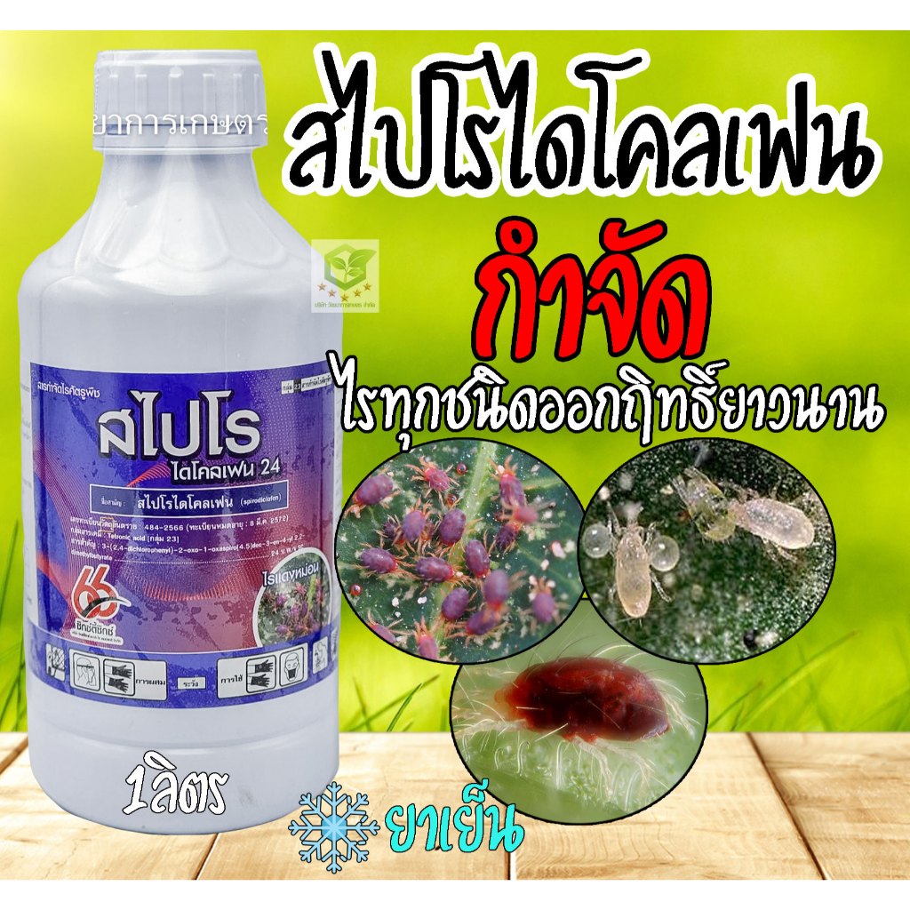 สไปโรไดโคลเฟน 1ลิตร สารกำจัดไรแดง ไรขาว ไรแมลงมุม อีเรบัส สไปรอน กลุ่มเดียวกับ โอเบรอน