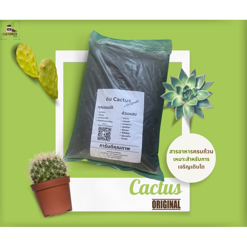ดินปลูกแคคตัส cactus