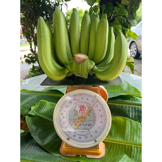กล้วยหอมทอง,เนื้อเนียน ,นุ่ม,อร่อย,ใหญ่ ( L ) 12-14ลูก /หวี ตัดสด ( ตามออเดอร์)