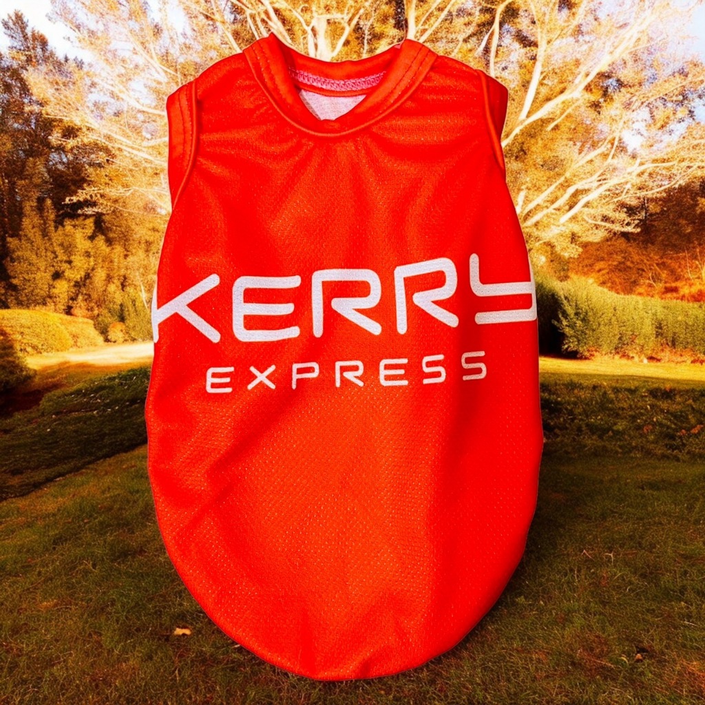 รูปภาพ 4