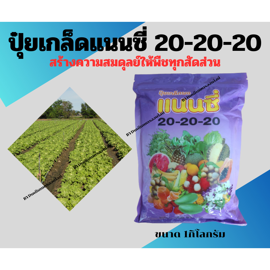 ปุ๋ยเกล็ดแนนซี่ สูตร20-20-20 ปุ๋ยเกล็ดสูตรเสมอ เสริมความสมบูรณ์ให้พืชในทุกสัดส่วน