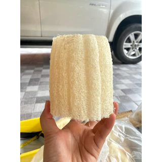 บวบท่อน ใยบวบขัดผิว ใยหนา ขนาด3-4นิ้ว