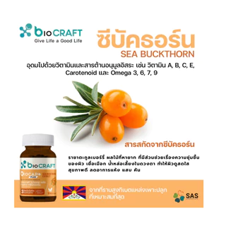 bioCRAFT bioCAP Plus SEA BUCKTHORN 60 แคปซูล โพรไบโอติกเพื่อสุขภาพเพศหญิงชนิดแคปซูล