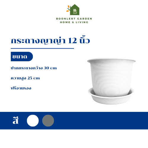 กระถางทรงเกลียวญี่ปุ่น / ทรงญาญ่า ขนาด 12 นิ้ว กระถางพลาสติก ฟรีถาดรองกระถาง (เกรด A แบบหนา)