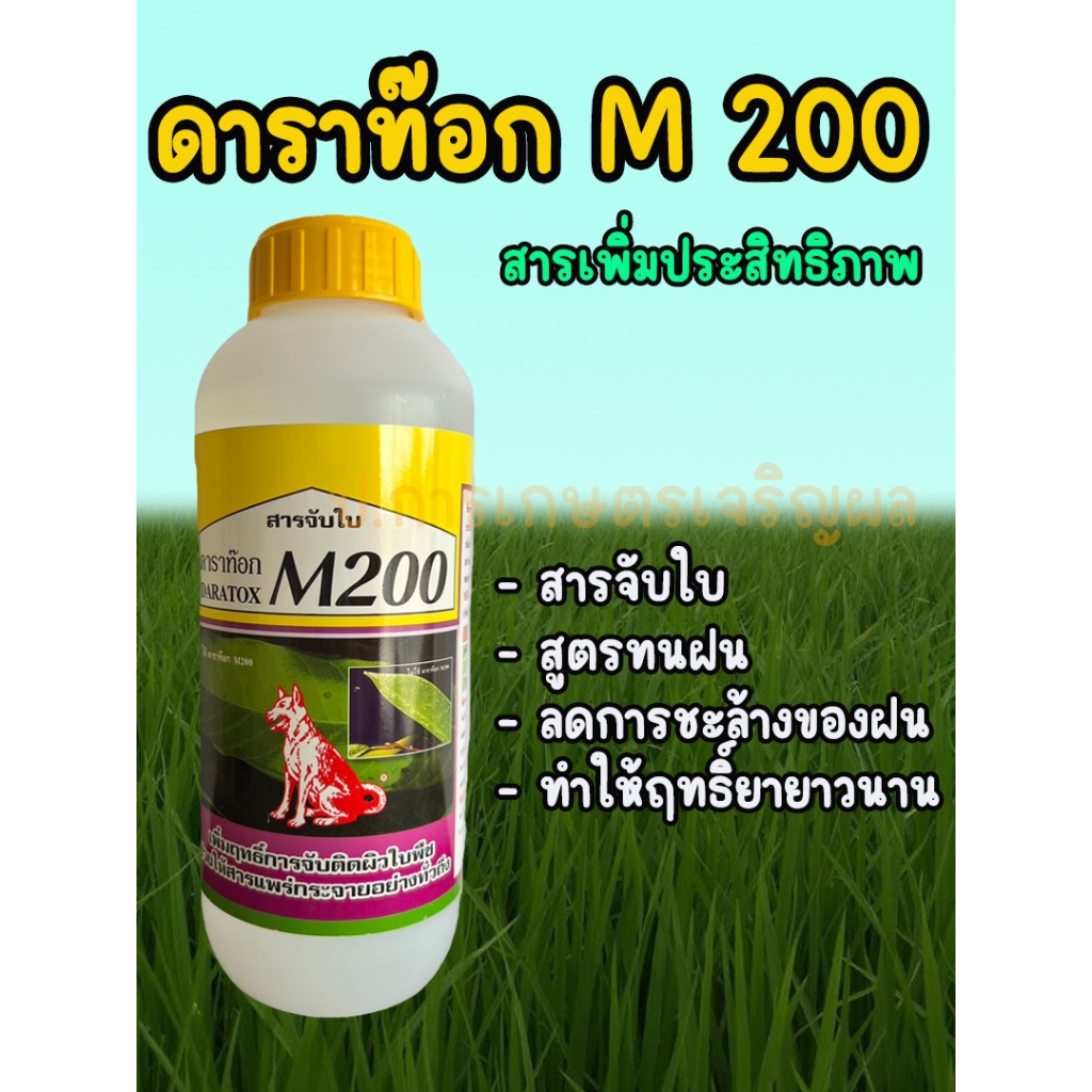 ดาราท็อก 1ลิตร สารจับใบสูตรเข้มข้น ช่วยเสริมประสิทธิภาพของสารละลายสำหรับฉีดพ่นชนิดต่างๆ