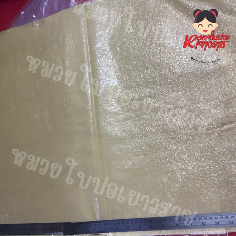 ฟองเต้าหู้แผ่น ฟองเต้าหู้แบบจืด ห่อหอยจ้อ (1แผ่น)