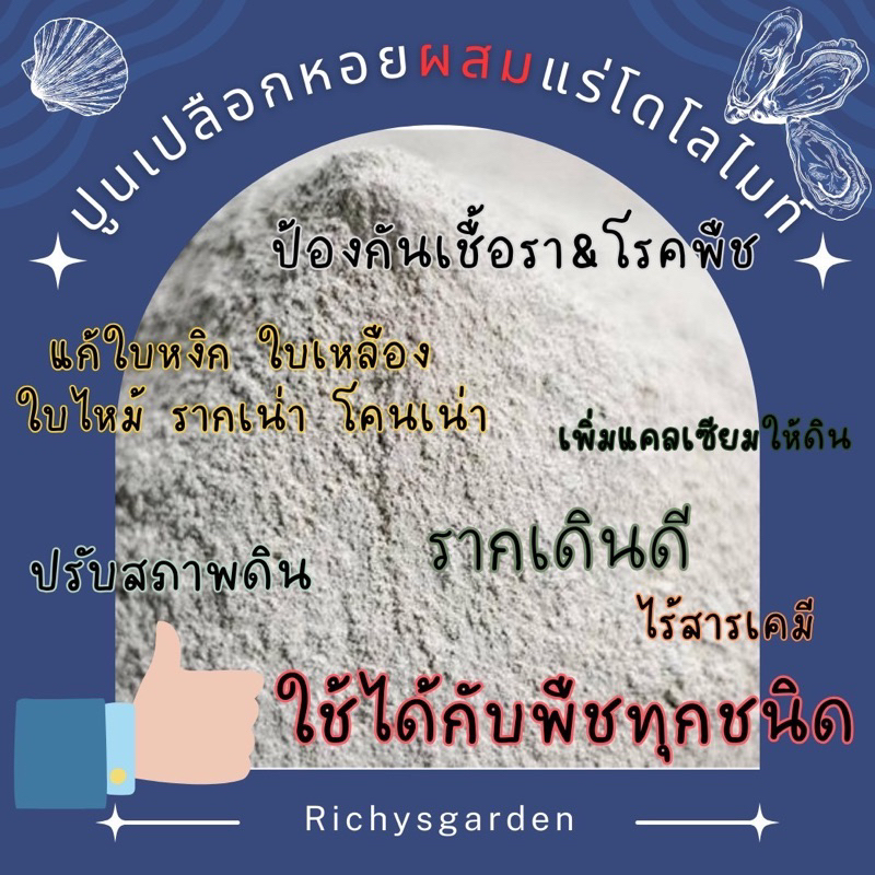 เปลือกหอยป่น บดละเอียด 100%