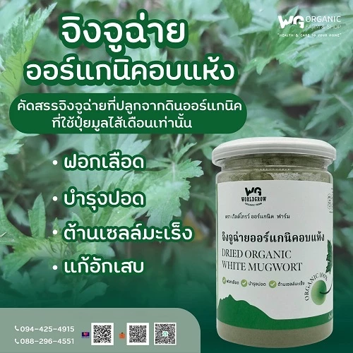ผงจิงจูฉ่ายอบแห้งออร์แกนิค ตรา World Grow Organic Farm ผงสมุนไพรธรรมชาติ ชงดื่มง่าย สินค้าคุณภาพ