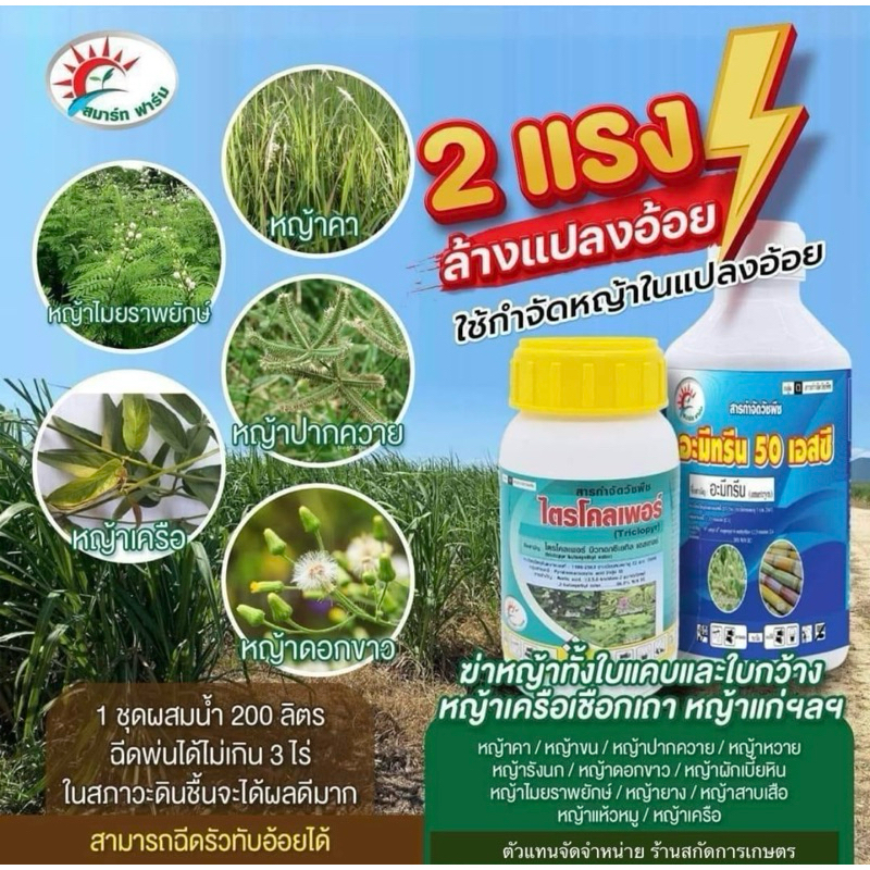 เซตรัวอ้อย ทับอ้อยได้ เก็บหญ้าใบแคบ ใบกว้าง เครือเถาวัลย์ ฆ่าหญ้าแรง เก็บหญ้าร้ายในไร่อ้อย