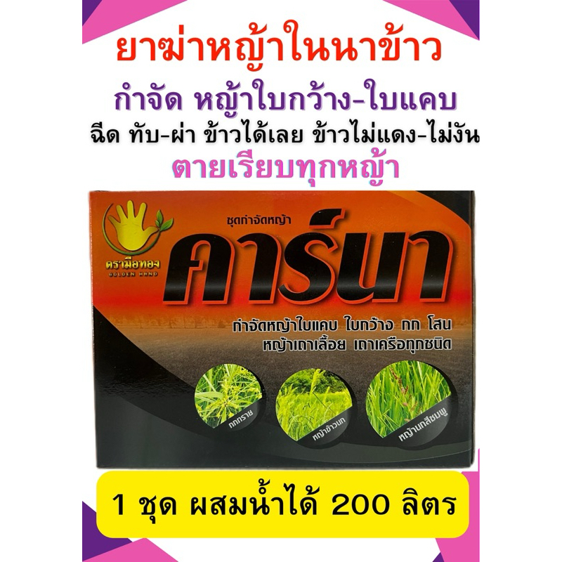 คาร์นา ยาฆ่าหญ้าในนาข้าว   ฉีดทับข้าวได้เลย กำจัดหญ้า ใบแคบ ใบกว้าง กก โสน หญ้าเถาเครือทุกชนิด ข้าวไ