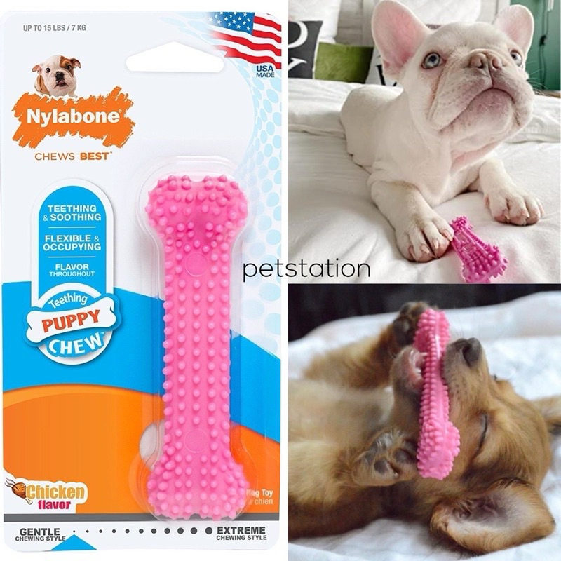 Nylabone Gentle Chew Teething ของเล่นขัดฟัน