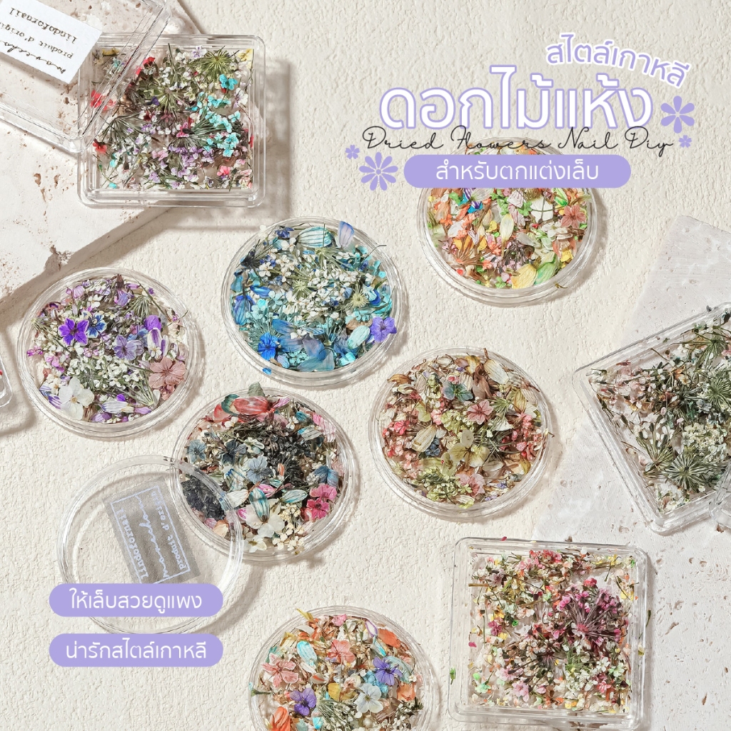 Majikku ดอกไม้แห้ง น่ารักสไตล์เกาหลี แต่งเล็บ Korean Style Dried Flowers Nail DIY สำหรับตกแต่งเล็บ