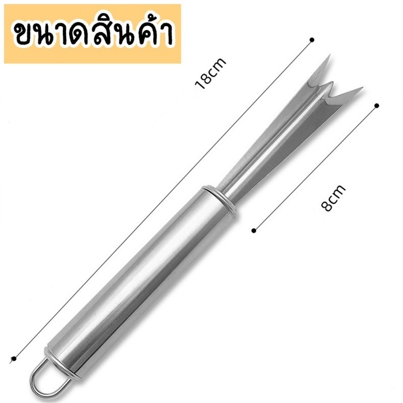 ที่ปอกข้าวโพด ที่ขูดข้าวโพด ที่แกะเมล็ดข้าวโพด ที่ปอกสับปะรด สแตนเลสแท้ ไม่เป็นสนิม Corn Seed Peeler ราคา ถูกที่สุด ดีลบีเคเค แกลเลอรีภาพที่ 6