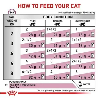 (พร้อมส่ง) Royal Canin Cat : Renal With Fish pouch 85g อาหารเปียกแมวโรคไต ชิ้นเนื้อในน้ำซอส / Renal pouch แมวซอง