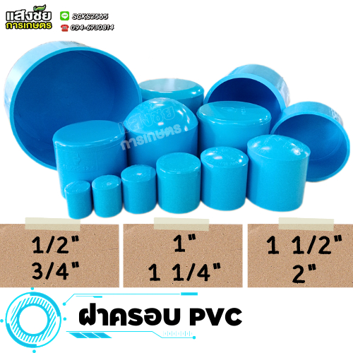 ฝาครอบ PVC ขนาด 1/2" - 2" ฝาปิด ฝาอุด ฝาสวมท่อ พีวีซี ฝาปิดปลายท่อ งานประปา