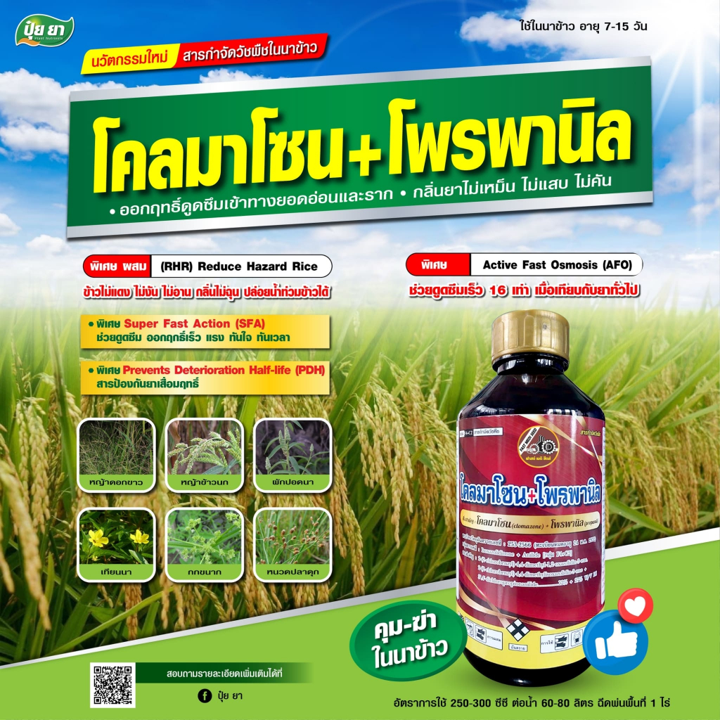 ยาคุมเลน คุมฆ่า ฆ่าหญ้า ในนาข้าว กำจัดวัชพืช ใบแคบ