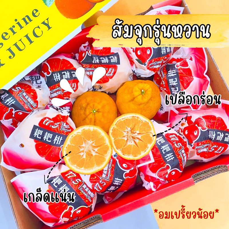 ส่งฟรี‼️สินค้าเข้าใหม่ 4/6/67‼️ Papa Dekopon Orange 🍊ส้มจุกสายพันธุ์ญี่ปุ่นกล่องขาวนำเข้าจากประเทศจี