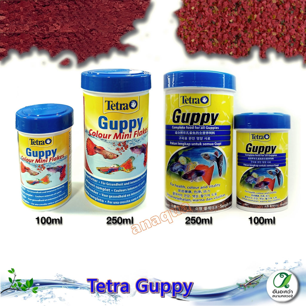 Tetra Guppy (100ml/250ml.) อาหารชนิดแผ่น สำหรับปลาหางนกยูง ปลาคิลลี่