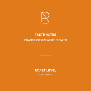 THONG URAI เมล็ดกาแฟคั่วอ่อน Colombia Thai กาแฟ A ROASTER