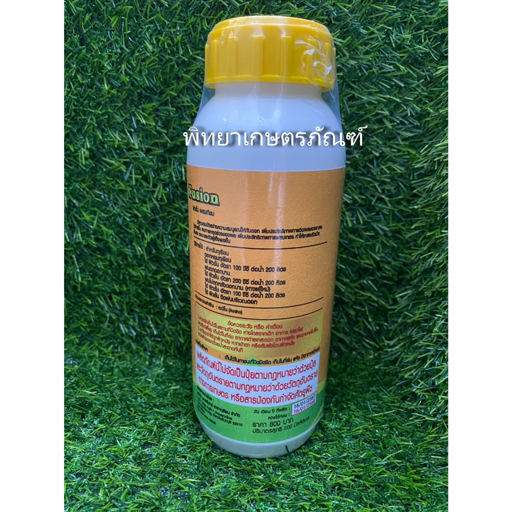 ฟิวชั่น ผสมเทียม  ติดผลได้แบบไม่ต้องปัดดอก ยกระดับการติดผล - รูปที่ 5
