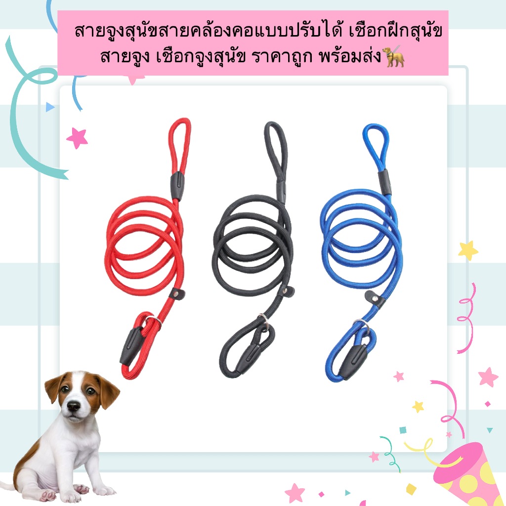 AL-1158 สายจูงสุนัข สายจูงสัตว์เลี้ยง 3 ขนาด พร้อมส่ง สายคล้องคอสุนัข เชือกจูงสัตว์เลี้ยง เชือกฝึกสุนัข พร้อมที่จับ