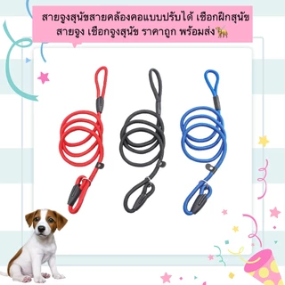 AL-1158 สายจูงสุนัข สายจูงสัตว์เลี้ยง 3 ขนาด พร้อมส่ง สายคล้องคอสุนัข เชือกจูงสัตว์เลี้ยง เชือกฝึกสุนัข พร้อมที่จับ