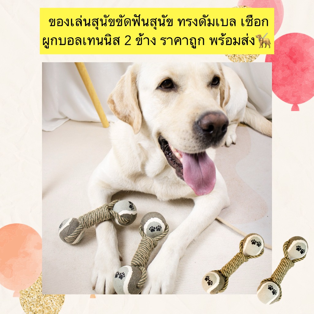 AL-1157 ของเล่นสุนัข ทรงดัมเบล เชือกผูกบอลเทนนิส 2ข้าง ของเล่นหมา ของเล่นสัตว์เลี้ยง พร้อมส่ง