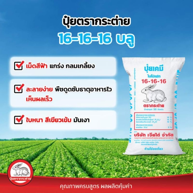 ปุ๋ยแบ่งขาย 16-16-16 / 25-7-7 / 13-13-24 ตรากระต่าย