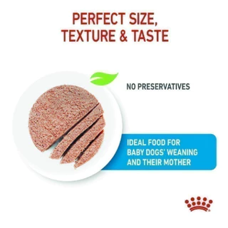 Royal canin Starter Mousse อาหารเปียก แบบกระป๋อง 195g. Exp.06/2027