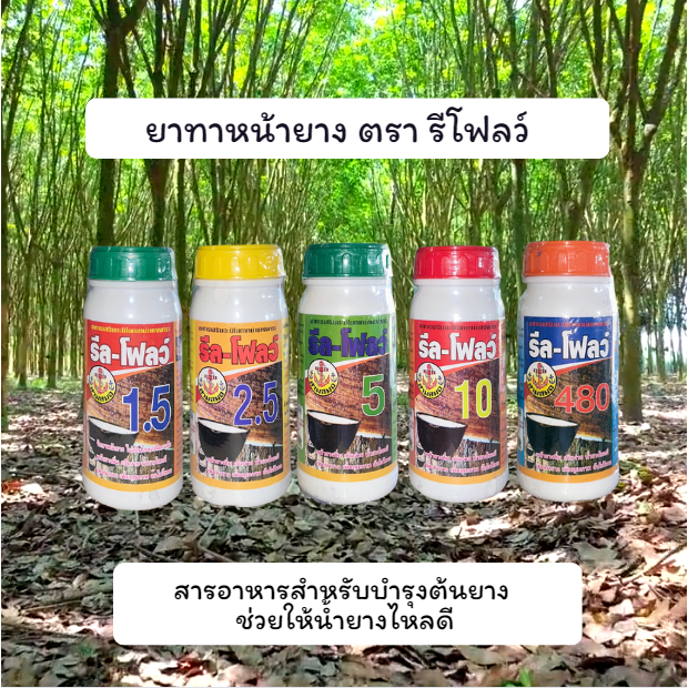 รีลโฟลว์ ยาทาหน้ายาง ฮอร์โมน บำรุงน้ำยาง