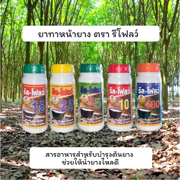 รีลโฟลว์ ยาทาหน้ายาง ฮอร์โมน บำรุงน้ำยาง