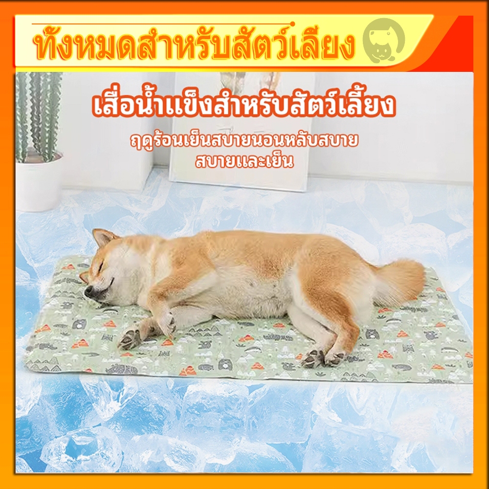 พร้อมส่งในไท แผ่นเจลเย็นแมว แผ่นเจลเย็นสุนัข เบาะนอนเย็น ที่นอนเจลเย็นสุนัข ที่นอนเจลเย็น สำหรับสัตว์เลี้ยง COD