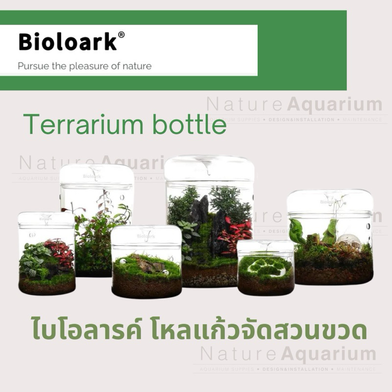 Bioloark Luji glass cup โหลแก้วจัดสวนขวด