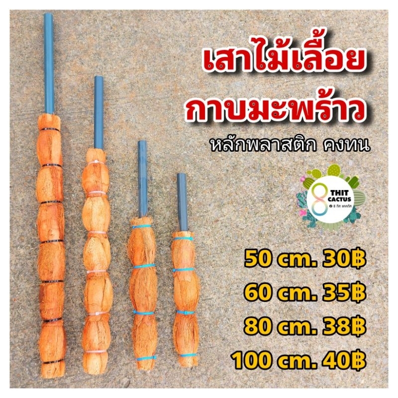 หลักไม้เลื้อย เสาไม้เลื้อย กาบมะพร้าว 50 60 80 cm.