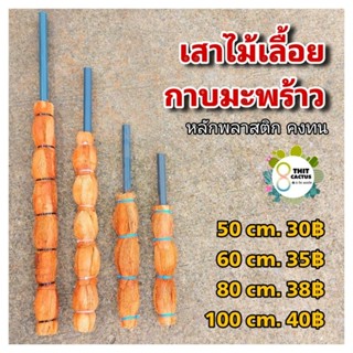 // หลักไม้เลื้อย เสาไม้เลื้อย กาบมะพร้าว ตอ หลัก 50 60 80 cm…