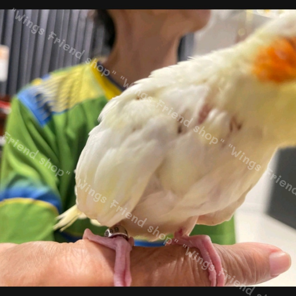Thumbnail 8