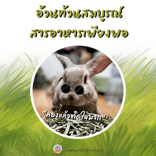 ล็อตใหม่ ทิมโมธีนิ่ม นิ่มที่สุดในบรรดาทิม ร่อนฝุ่น มีโปรตีนสูงกว่า บรรจุถุงซิปล็อคอย่างดี