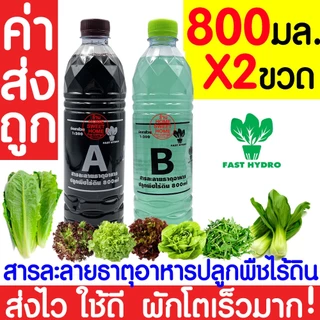 *โค้ดส่งฟรี* ถาดใส่ฟองน้ำ เพาะเมล็ด ถาดเพาะเมล็ดไม่มีรู ถาดเพาะกล้า ปลูกผักไฮโดรโปนิกส์ ถาดเพราะ ฟองน้ำ