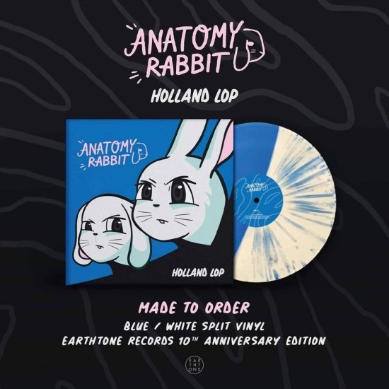 พร้อมส่ง❗ Vinyl Anatomy Rabbit : Holland Lop แผ่นเสียง