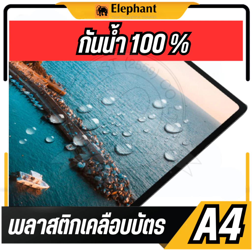 🔥แบ่งขาย 20 แผ่น🔥Elephant พลาสติกเคลือบบัตร A4 Sure 125 ไมครอน แบ่งขาย 20 แผ่น/แพ็ค แผ่นเคลือบเอกสาร รูปภาพ ตราช้าง thumbnail 5